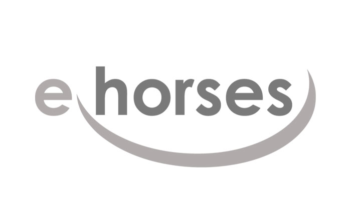 e-horses_WEB---Kopie